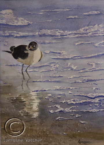 Shore Bird - Sold