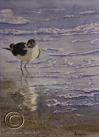 Shore Bird - Sold
