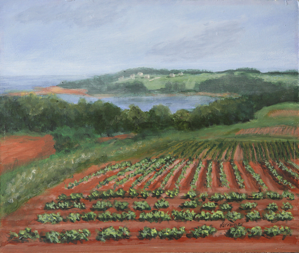 Potato Fields - Sold