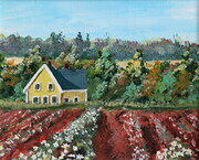 Yellow Farm House-Sold